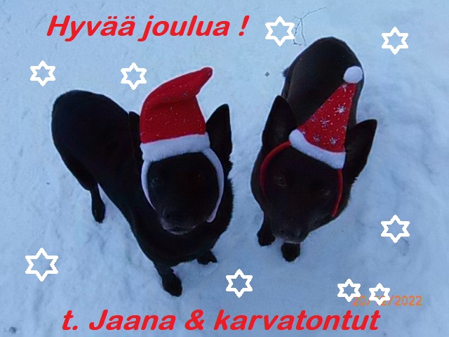 blogi1-hyvaa_joulua_tontut